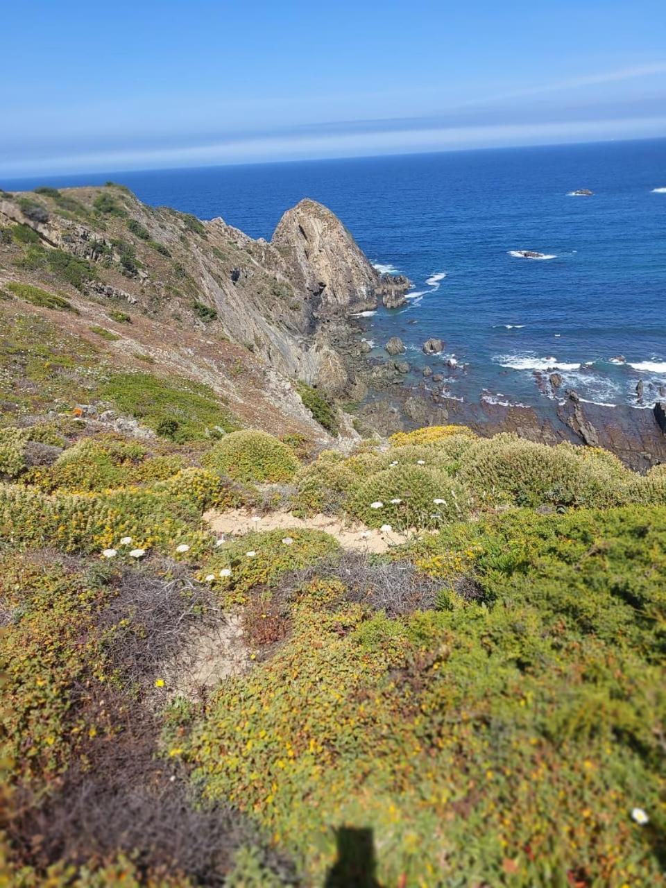 Choeiro Verde - Casa De Campo Na Costa Vicentina Brejao Esterno foto